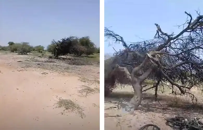 مالي: هيومن رايتس ووتش تتهم الجيش وحلفاءه الروس بتعذيب مدنيين وقتل ثمانية آخرين في غارة بمسيّرة