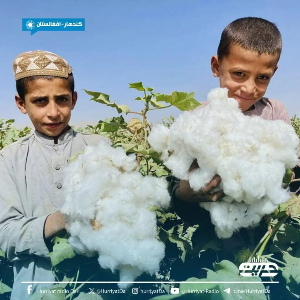 حصاد الأسبوع: أبرز الصور من العالم الإسلامي 41 IMG 20240920 164126 287