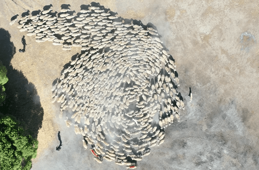 حصاد الأسبوع: أبرز الصور من العالم الإسلامي 50 image 109