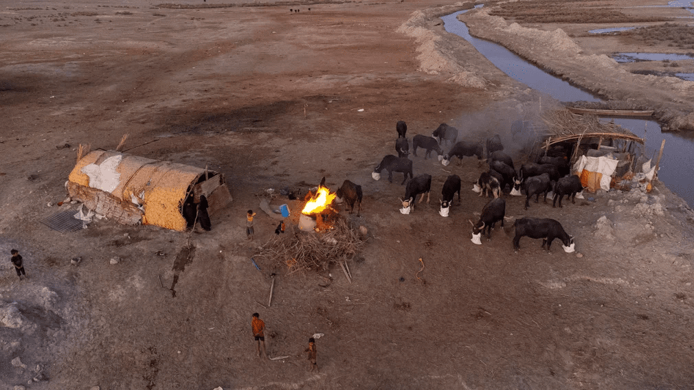 حصاد الأسبوع: أبرز الصور من العالم الإسلامي 41 image 88