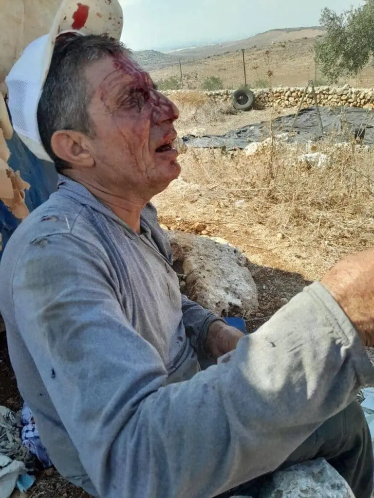 حصاد الأسبوع: أبرز الصور من العالم الإسلامي 14 1000120381
