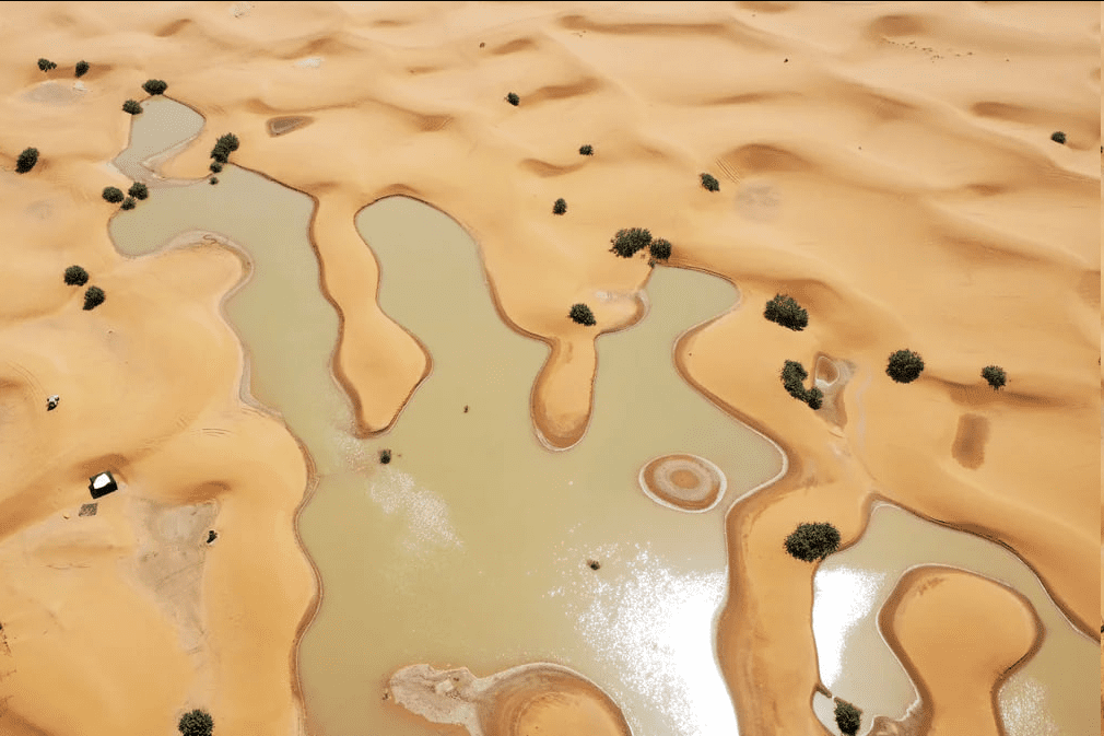 حصاد الأسبوع: أبرز الصور من العالم الإسلامي 66 image 59