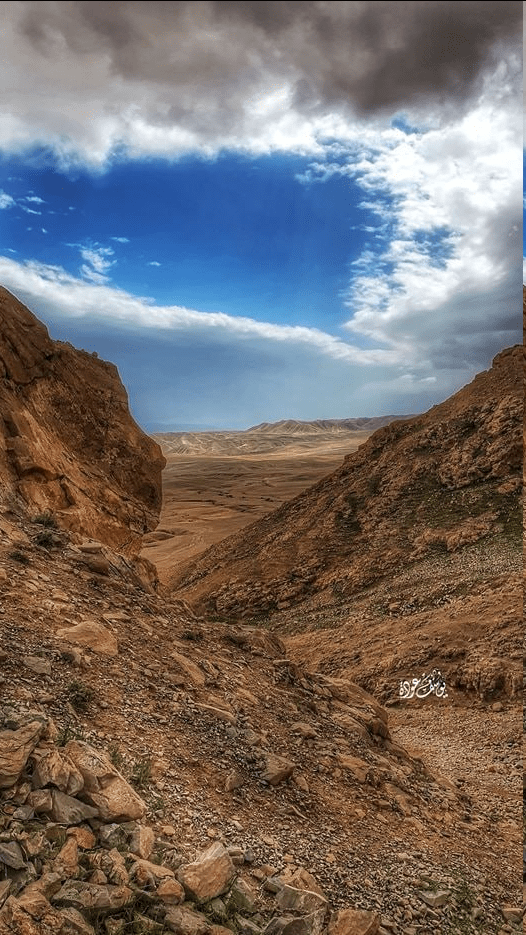 حصاد الأسبوع: أبرز الصور من العالم الإسلامي 48 image 76