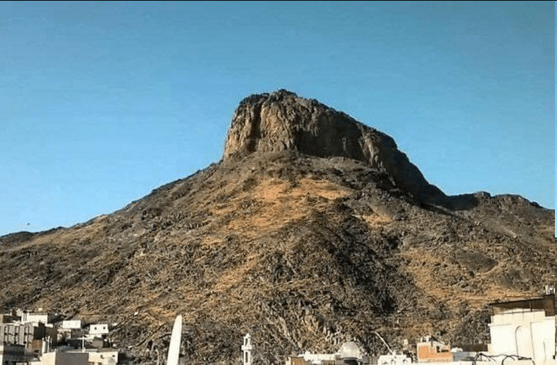 حصاد الأسبوع: أبرز الصور من العالم الإسلامي 114 image 78