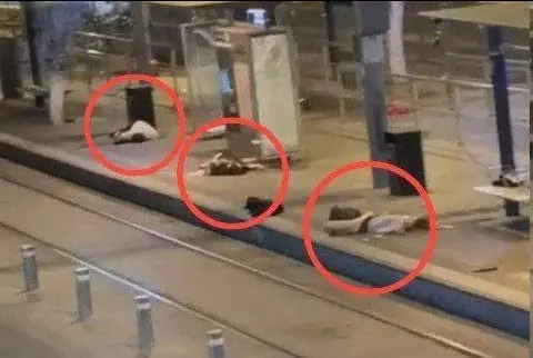 تقرير وصل الأسبوعي للعالم الإسلامي: أبرز أحداث الأسبوع الرابع من شهر ربيع الأول 18 photo 2024 10 01 21 12 28