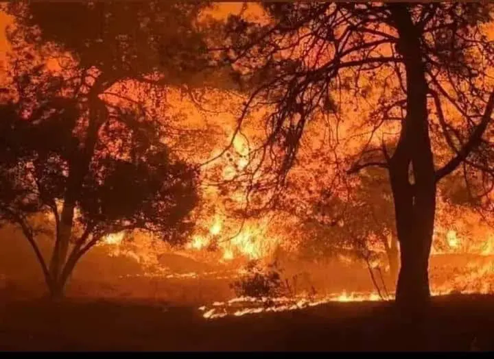 حصاد الأسبوع: أبرز الصور من العالم الإسلامي 39 IMG 20241108 170704 215