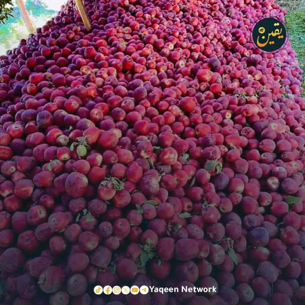 حصاد الأسبوع: أبرز الصور من العالم الإسلامي 62 IMG 20241108 171111 016