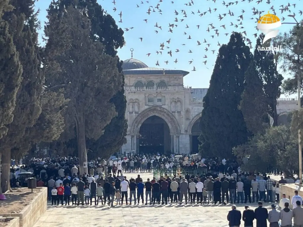 حصاد الأسبوع: أبرز الصور من العالم الإسلامي 34 IMG 20241108 172929 159