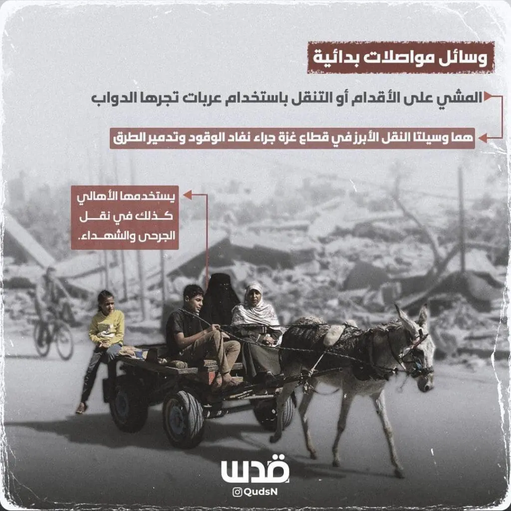 تقرير وصل الأسبوعي للعالم الإسلامي: أبرز أحداث الأسبوع الثاني من شهر جُمادى الآخرة 5 photo 2024 12 13 08 20 15