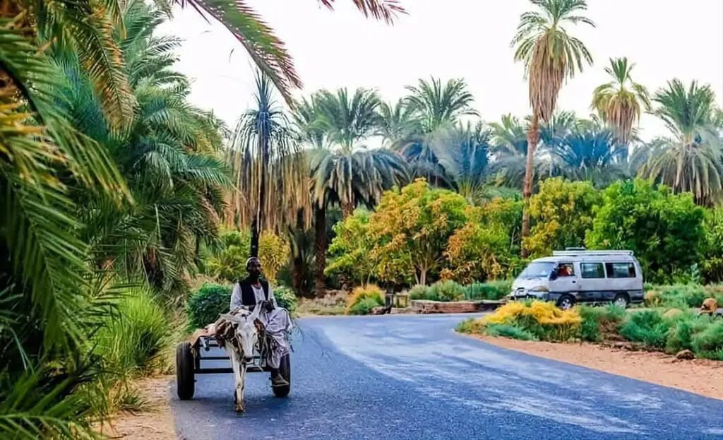 حصاد الأسبوع: أبرز الصور من العالم الإسلامي 28 ٢٠٢٤١٢١٣ ١٠٣٢٥٢