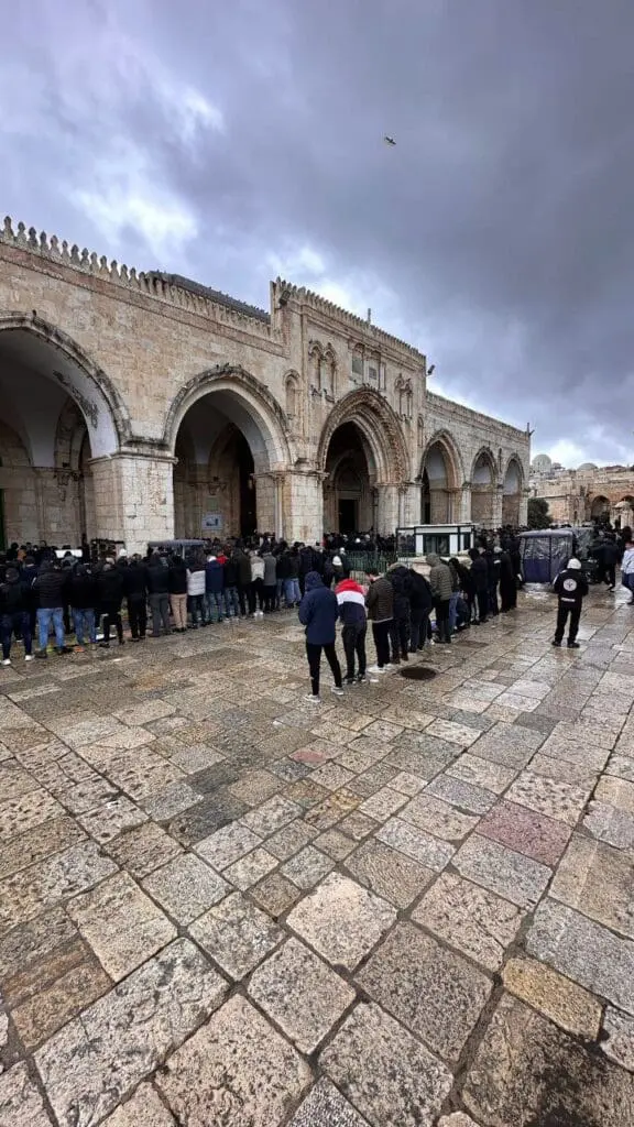 photo 2025 02 07 17 27 45