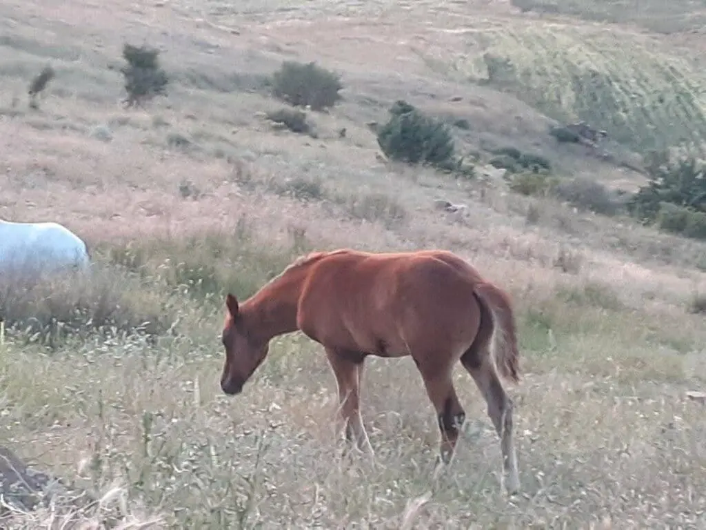 photo 2025 02 07 17 45 51