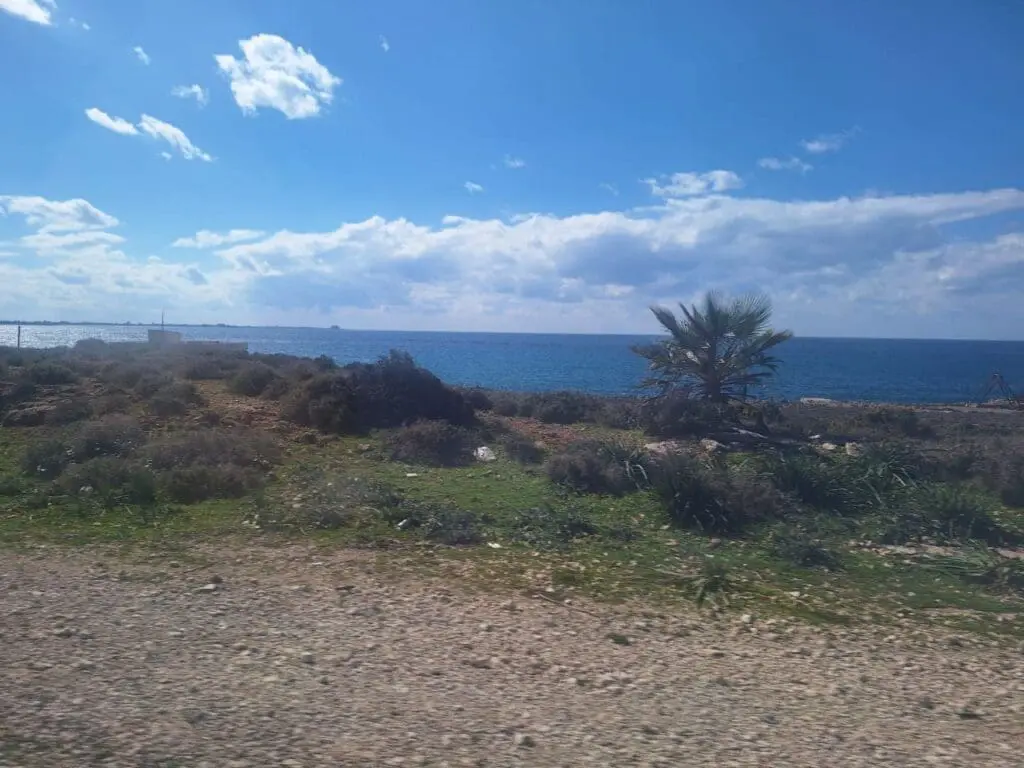 photo 2025 02 21 14 57 43