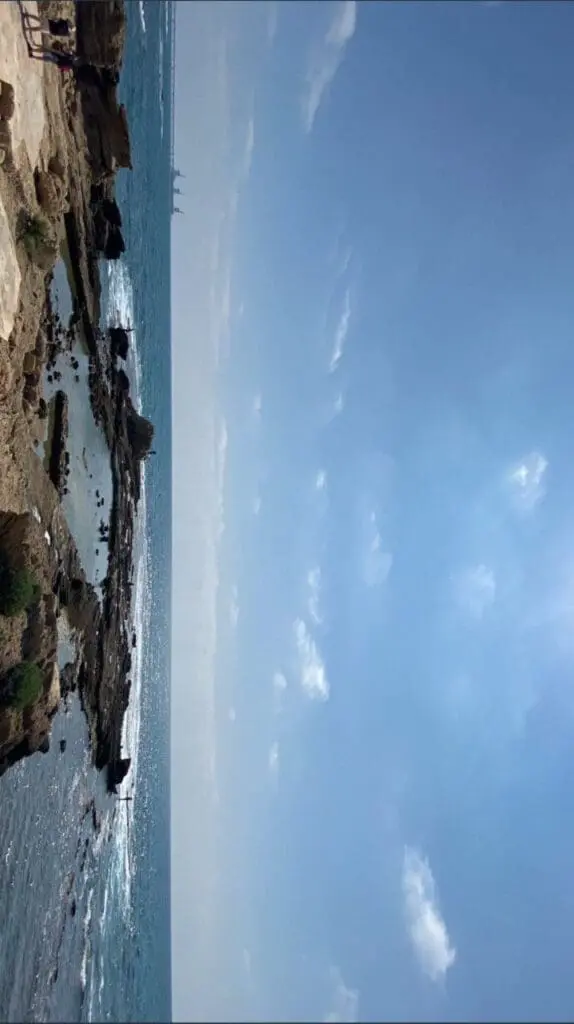 IMG 20250308 011304 637