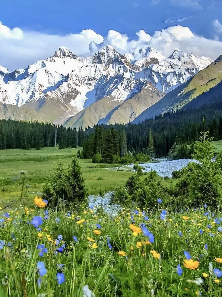 حصاد الأسبوع: أبرز الصور من العالم الإسلامي 17 IMG 20250315 055025 865