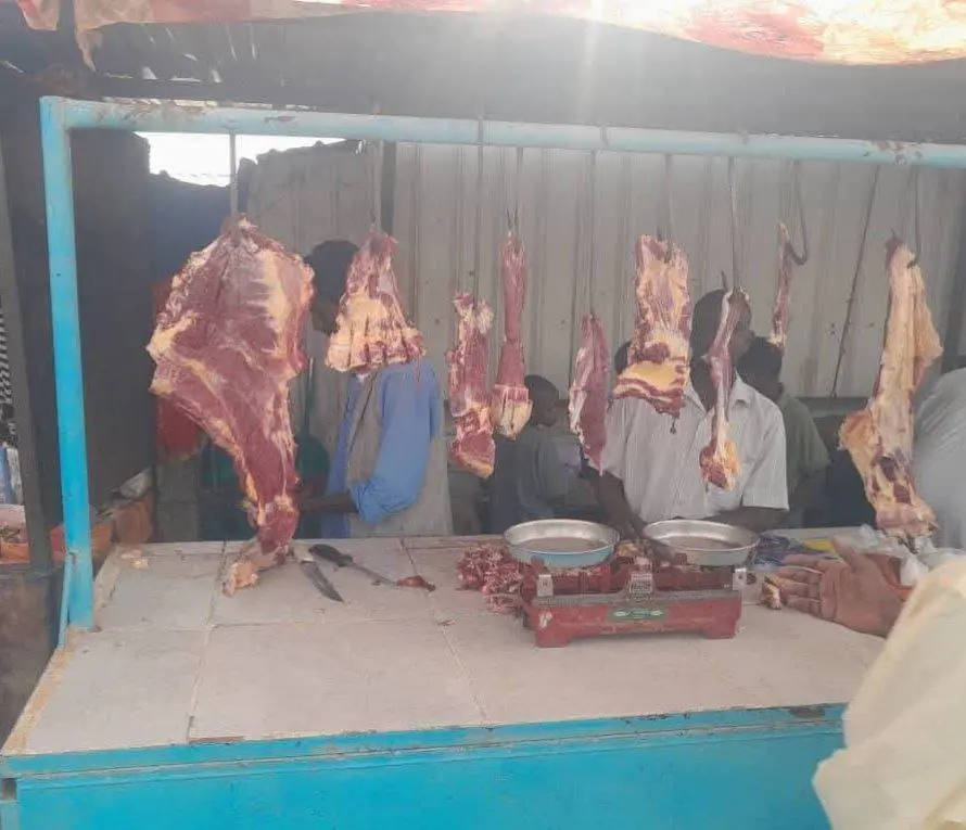 حصاد الأسبوع: أبرز الصور من العالم الإسلامي 30 IMG 20250411 224539 439