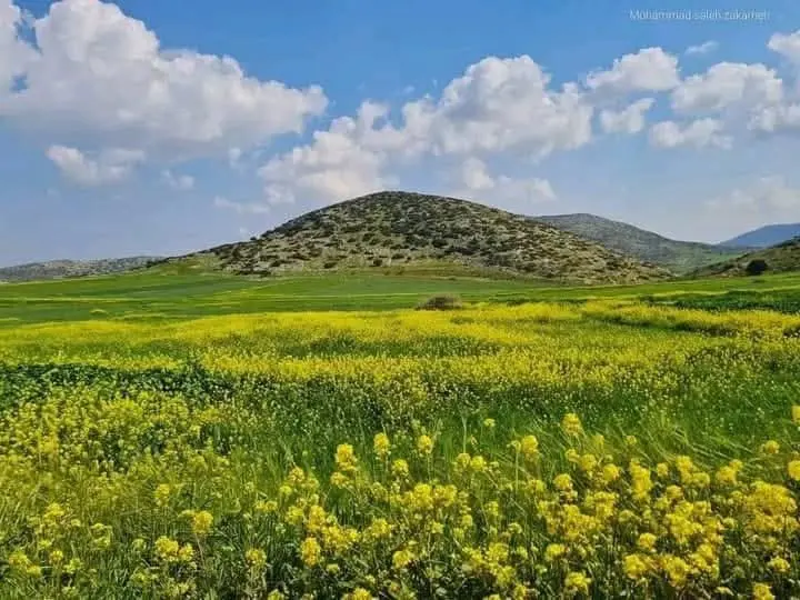 حصاد الأسبوع: أبرز الصور من العالم الإسلامي 7 IMG 20250411 225102 276