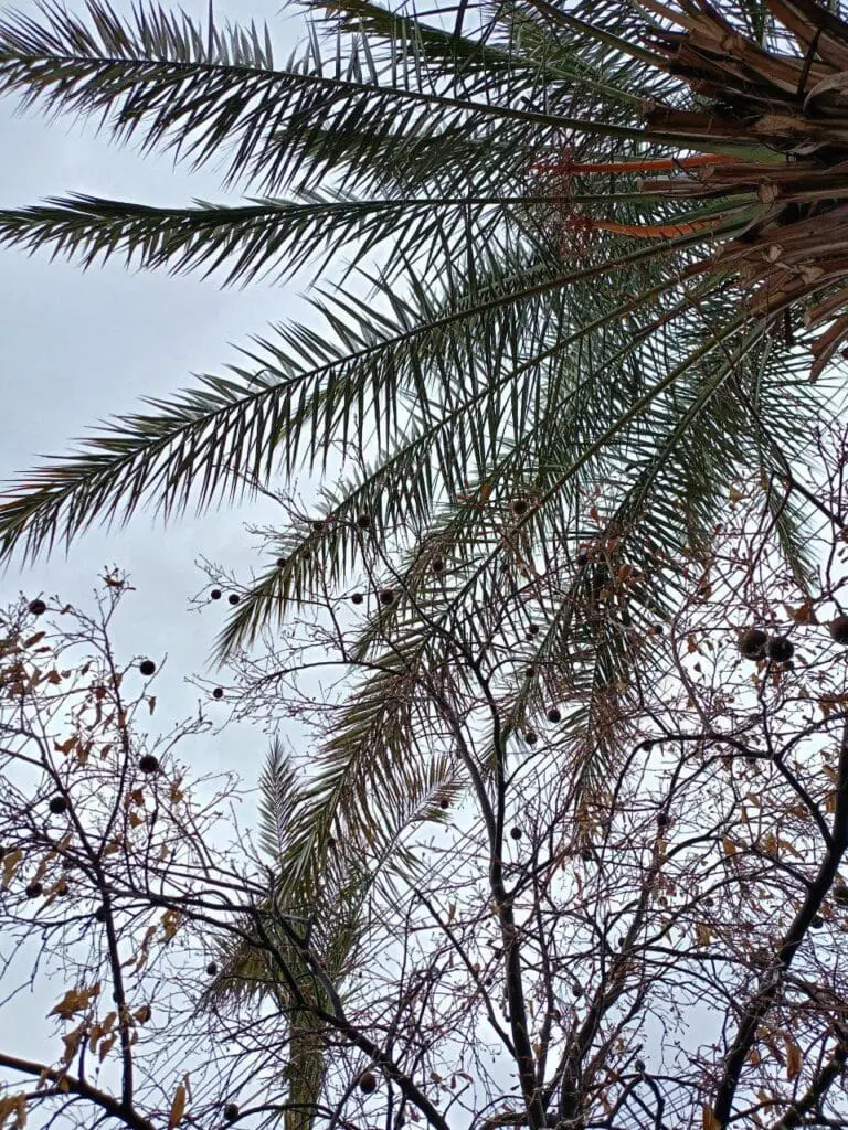 حصاد الأسبوع: أبرز الصور من العالم الإسلامي 43 IMG 20250411 225357 314