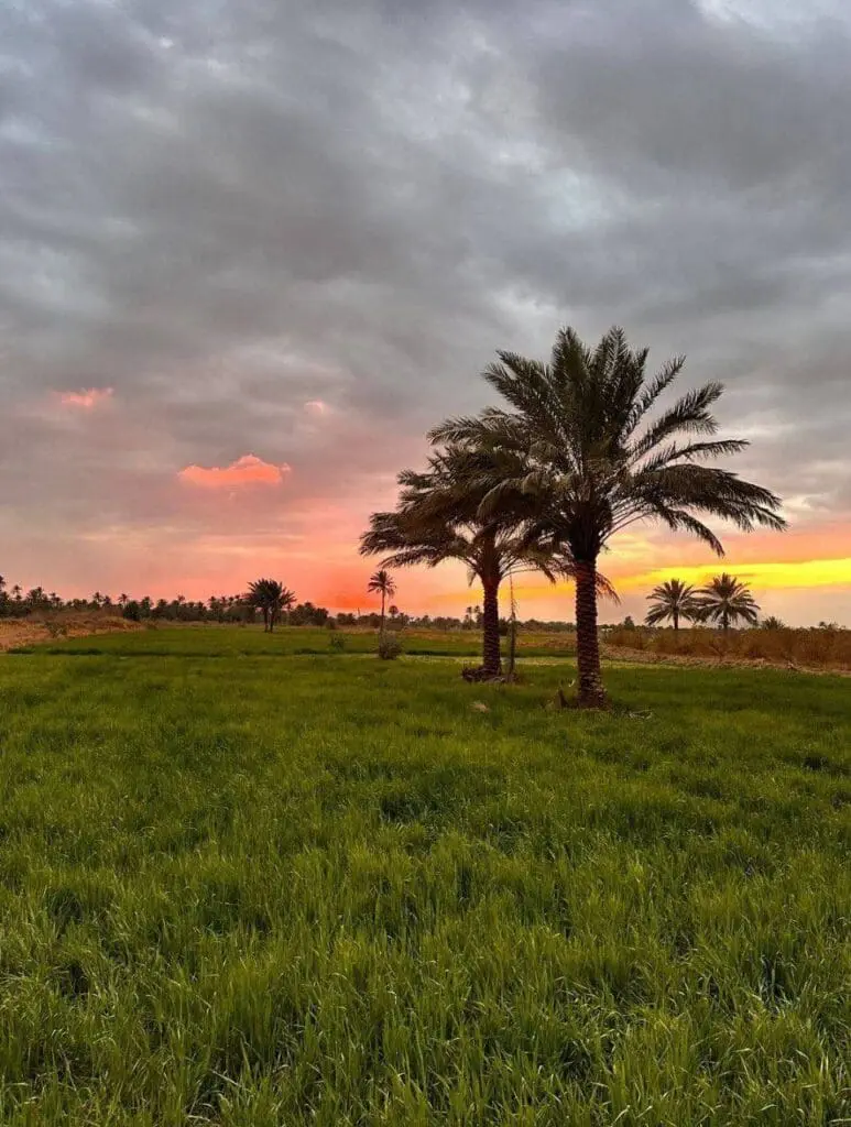 حصاد الأسبوع: أبرز الصور من العالم الإسلامي 39 IMG 20250411 225357 653
