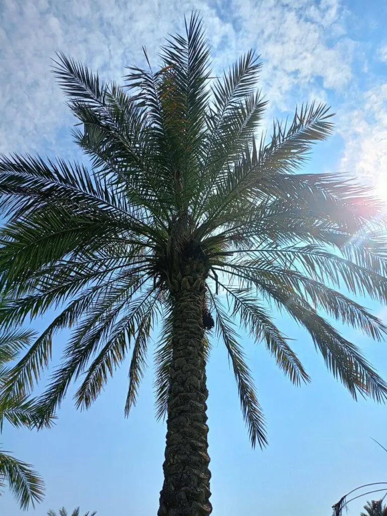 حصاد الأسبوع: أبرز الصور من العالم الإسلامي 40 IMG 20250411 225357 995