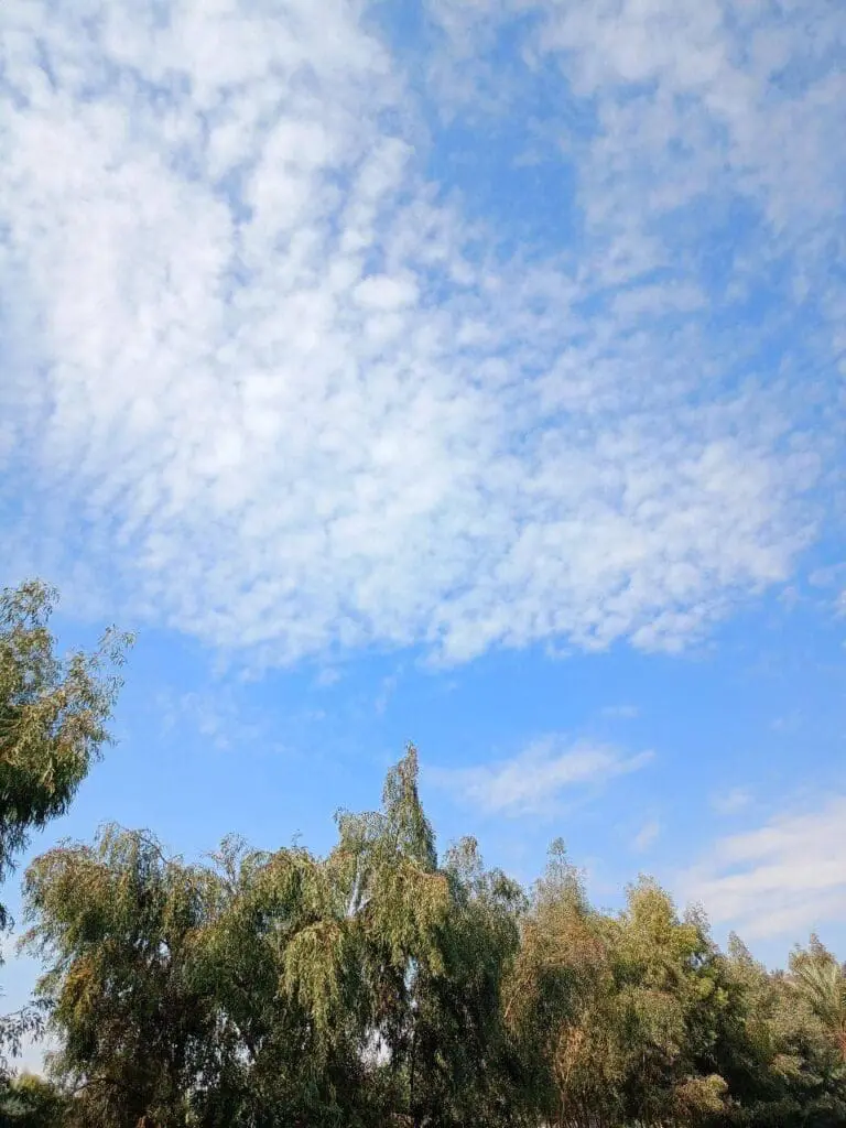 حصاد الأسبوع: أبرز الصور من العالم الإسلامي 38 IMG 20250411 225358 088