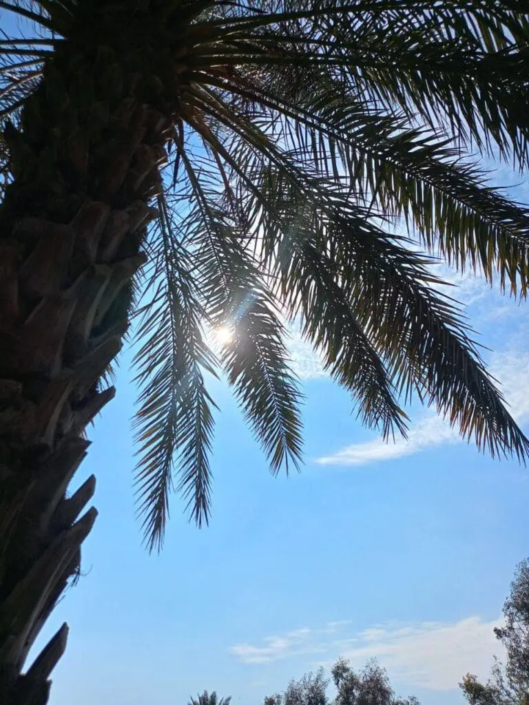 حصاد الأسبوع: أبرز الصور من العالم الإسلامي 41 IMG 20250411 225358 218