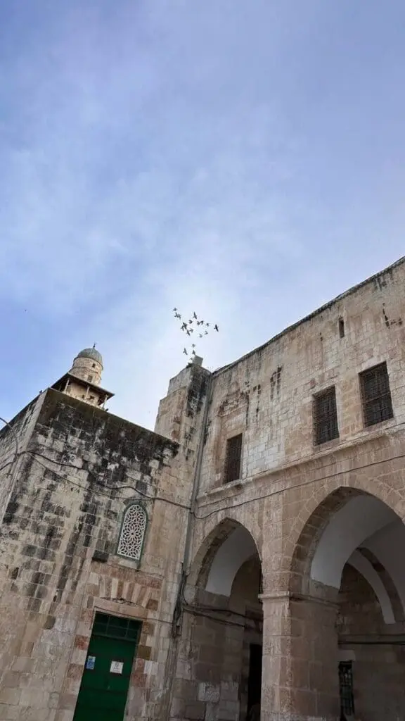 حصاد الأسبوع: أبرز الصور من العالم الإسلامي 3 IMG 20250502 213234 533