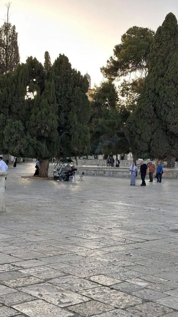 IMG 20250523 204013 861