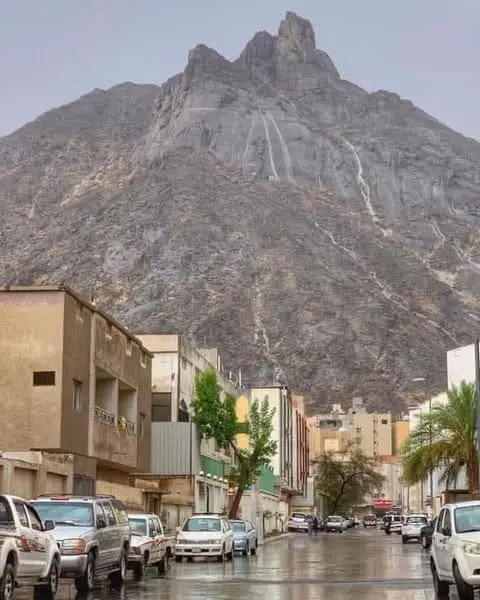 حصاد الأسبوع: أبرز الصور من العالم الإسلامي 56 photo 2025 05 26 12 49 30