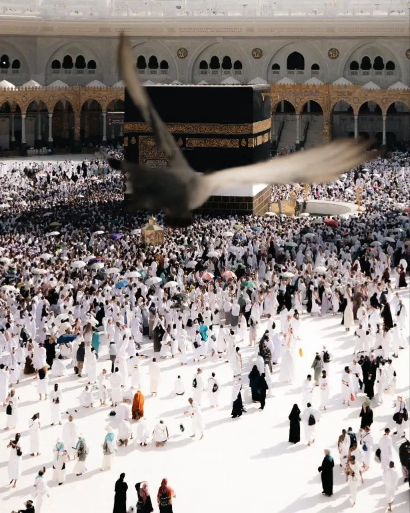حصاد الأسبوع: أبرز الصور من العالم الإسلامي 25 photo 2025 06 07 08 47 37