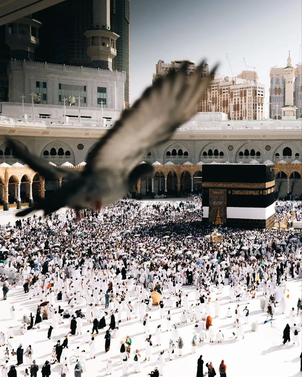 حصاد الأسبوع: أبرز الصور من العالم الإسلامي 36 photo 2025 06 07 08 47 42