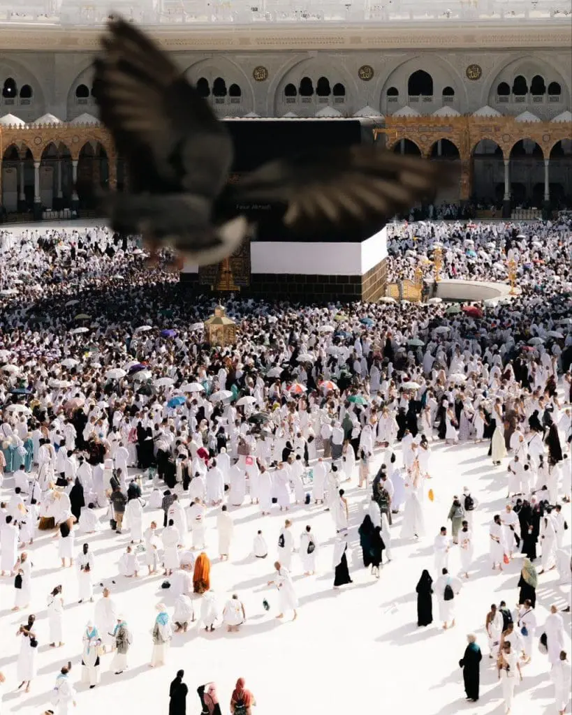 حصاد الأسبوع: أبرز الصور من العالم الإسلامي 23 photo 2025 06 07 08 47 45