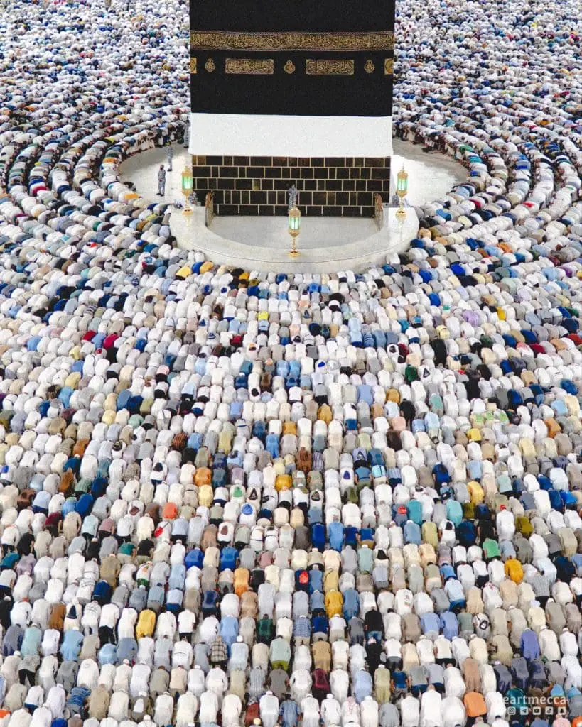حصاد الأسبوع: أبرز الصور من العالم الإسلامي 31 photo 2025 06 14 01 18 29