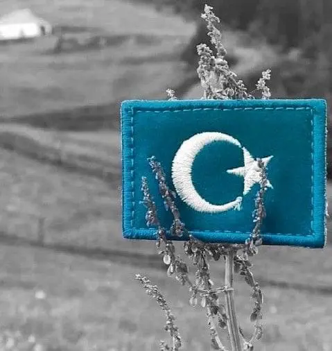 Uyghur Flag East Turkestan