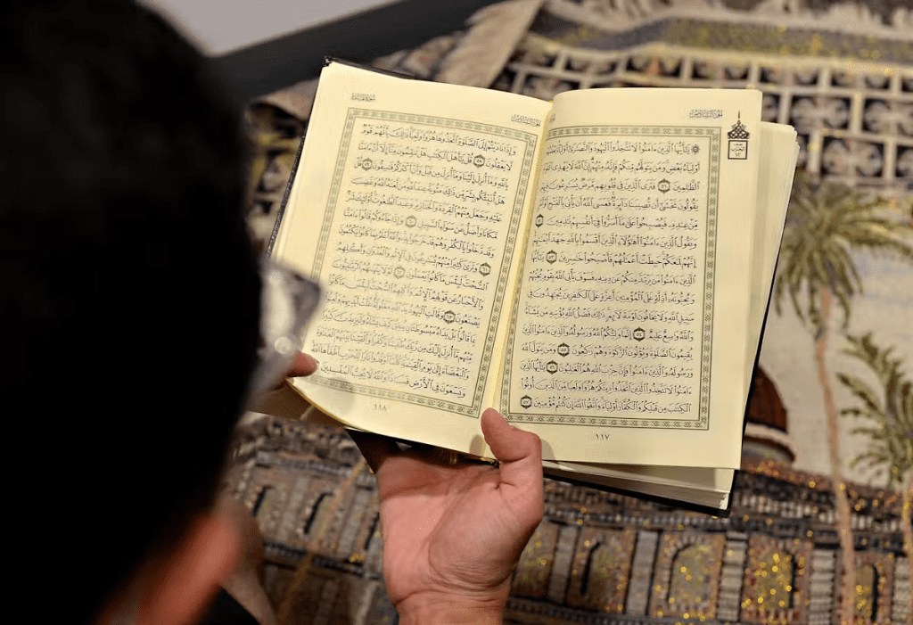 كيف يُعزز المسلمون العمل البيئي حول العالم؟ 3 image 17