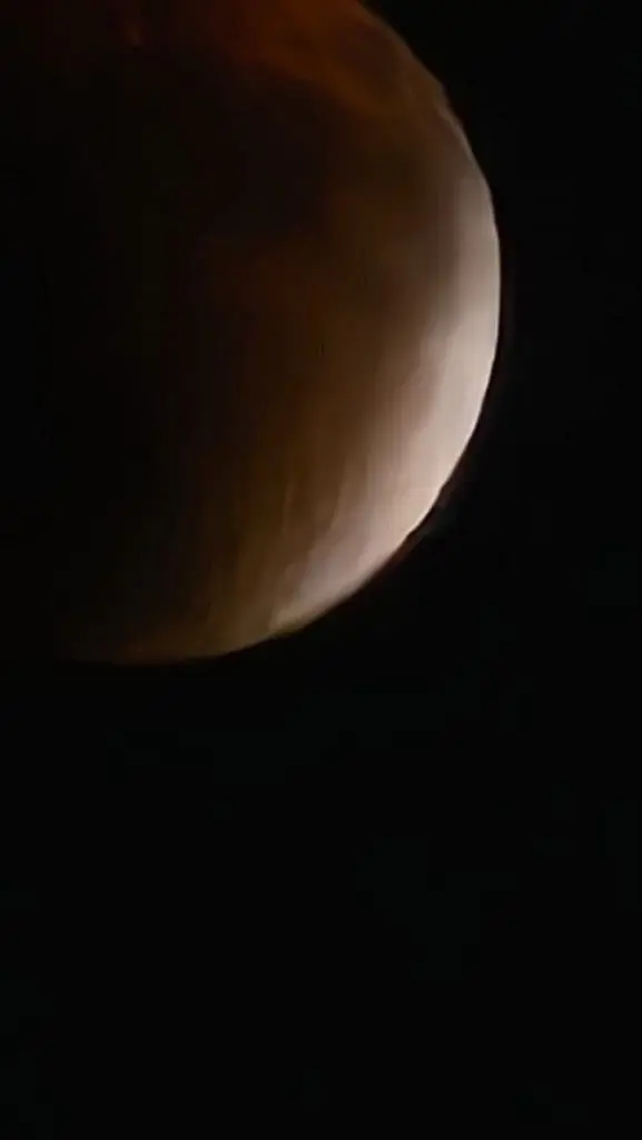 1000020777