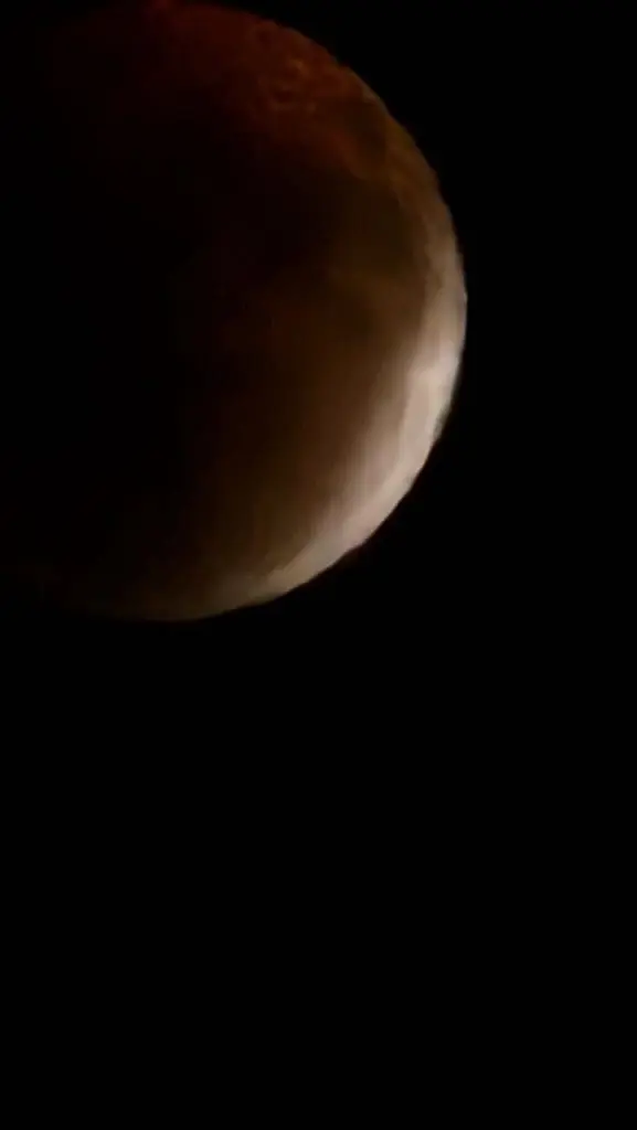 1000020779