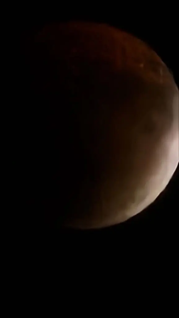 1000020780