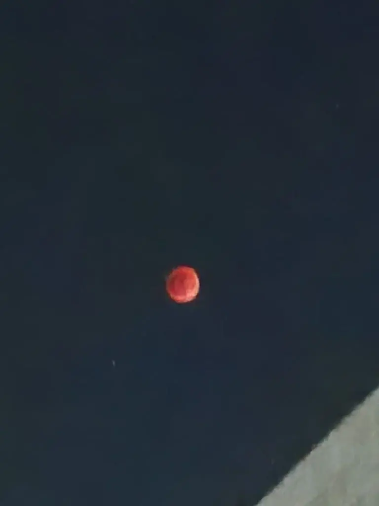 1000020786