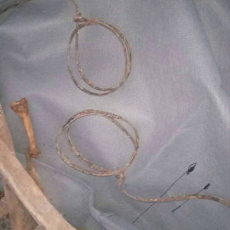 تقرير وصل الأسبوعي للعالم الإسلامي: أبرز أحداث الأسبوع الثاني من ربيع الأول 32 photo 2025 09 05 13 42 25