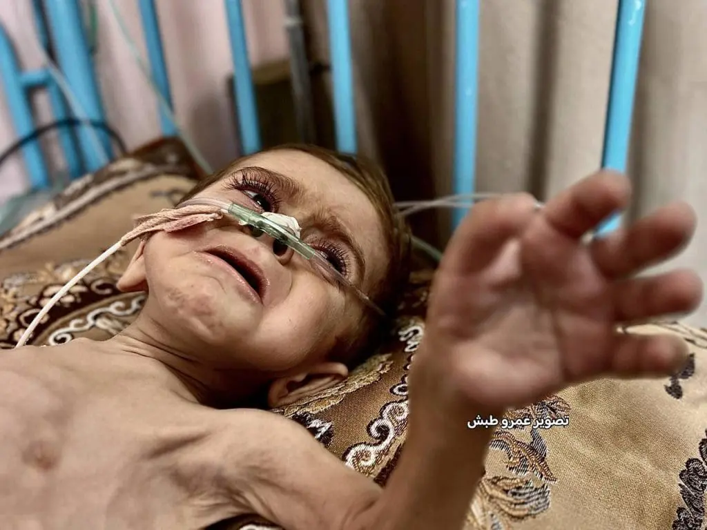 تقرير وصل الأسبوعي للعالم الإسلامي: أبرز أحداث الأسبوع الثاني من ربيع الأول 2 photo 2025 09 05 15 23 53