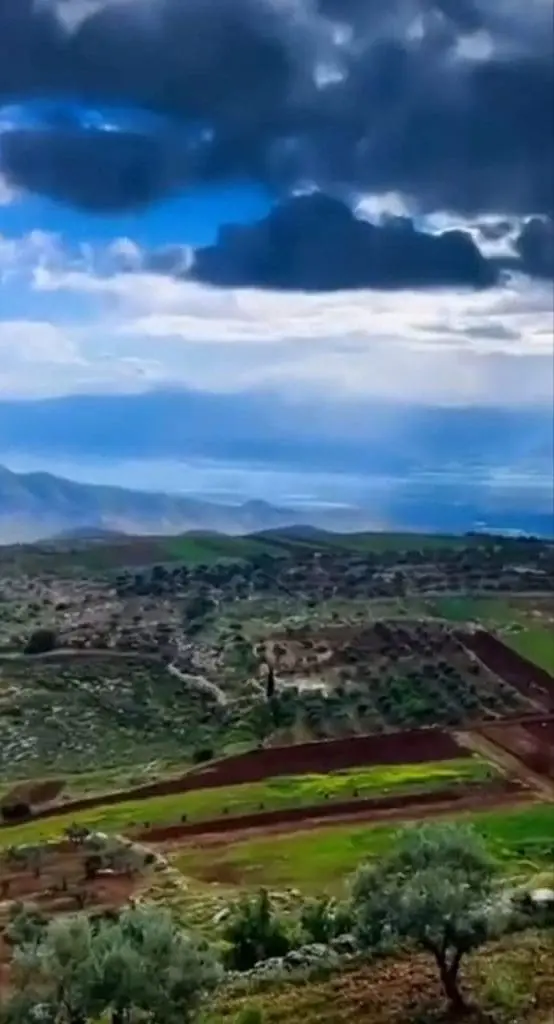 تقرير وصل الأسبوعي للعالم الإسلامي: أبرز أحداث الأسبوع الثالث من ربيع الأول 17 photo 2025 09 12 21 03 43