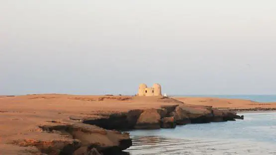 تقرير وصل الأسبوعي للعالم الإسلامي: أبرز أحداث الأسبوع الأول من جمادى الأولى 55 1000024020