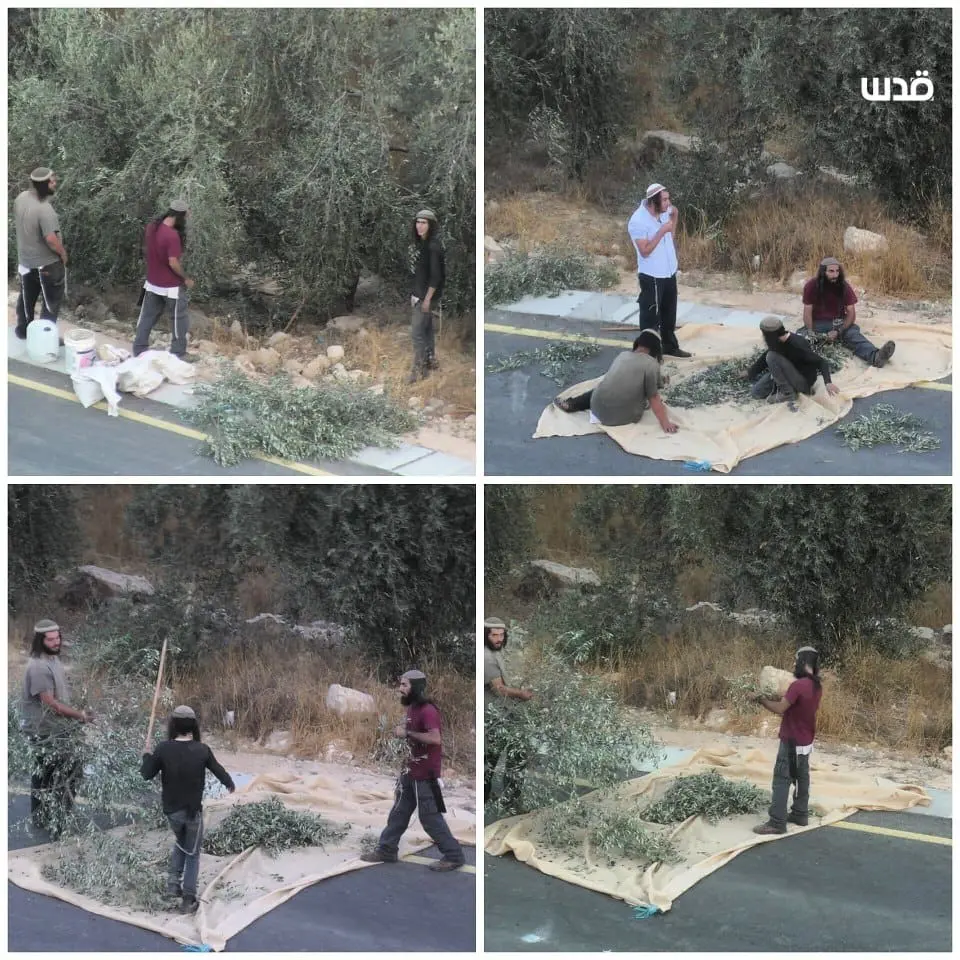 تقرير وصل الأسبوعي للعالم الإسلامي: أبرز أحداث الأسبوع الثالث من ربيع الثاني 9 photo ٢٠٢٥ ١٠ ٠٨ ٢٠ ٠٩ ٠٧