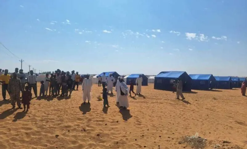 New camps for displaced people from Darfur Kordofan in the town of Al Affad east of El Dabbah on November 2 2025 802x485 1
