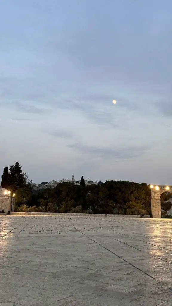 photo 2025 11 07 23 06 25