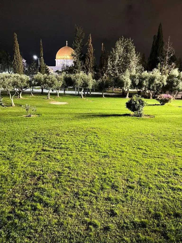 حصاد الأسبوع: أبرز الصور من العالم الإسلامي 10 1000027763