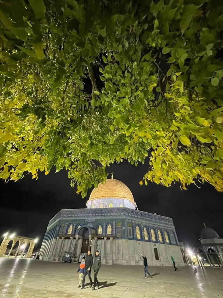 حصاد الأسبوع: أبرز الصور من العالم الإسلامي 16 1000027767