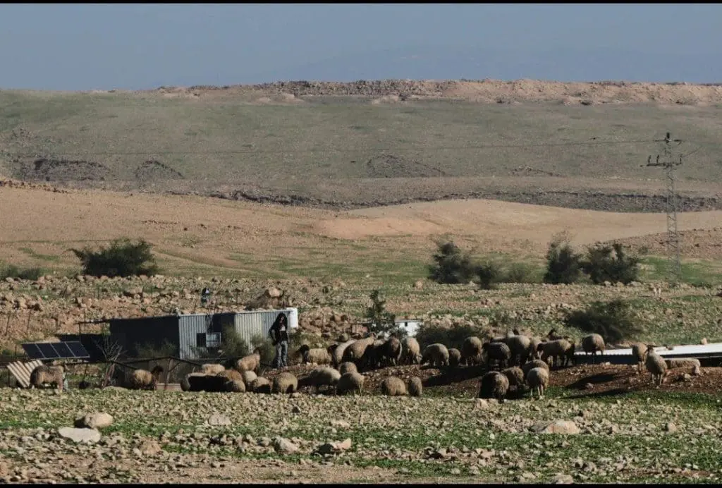 العنف الاستيطاني في غور الأردن يطرد الفلسطينيين من إحدى البلدات القليلة المتبقية 1 57800