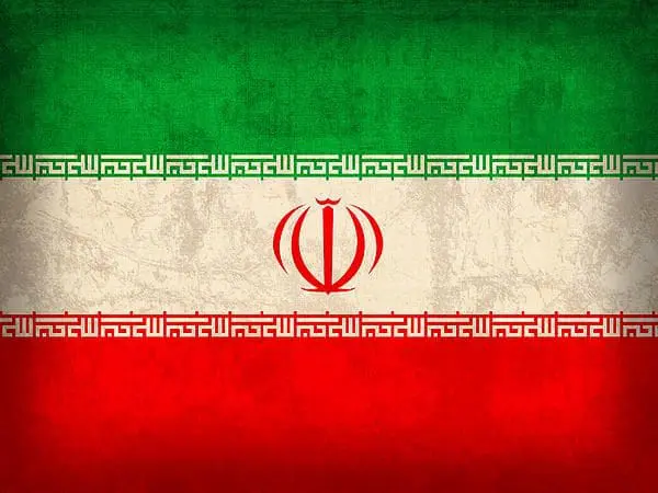 Iran Flag Vintage Distressed Finish by Design Turnpike